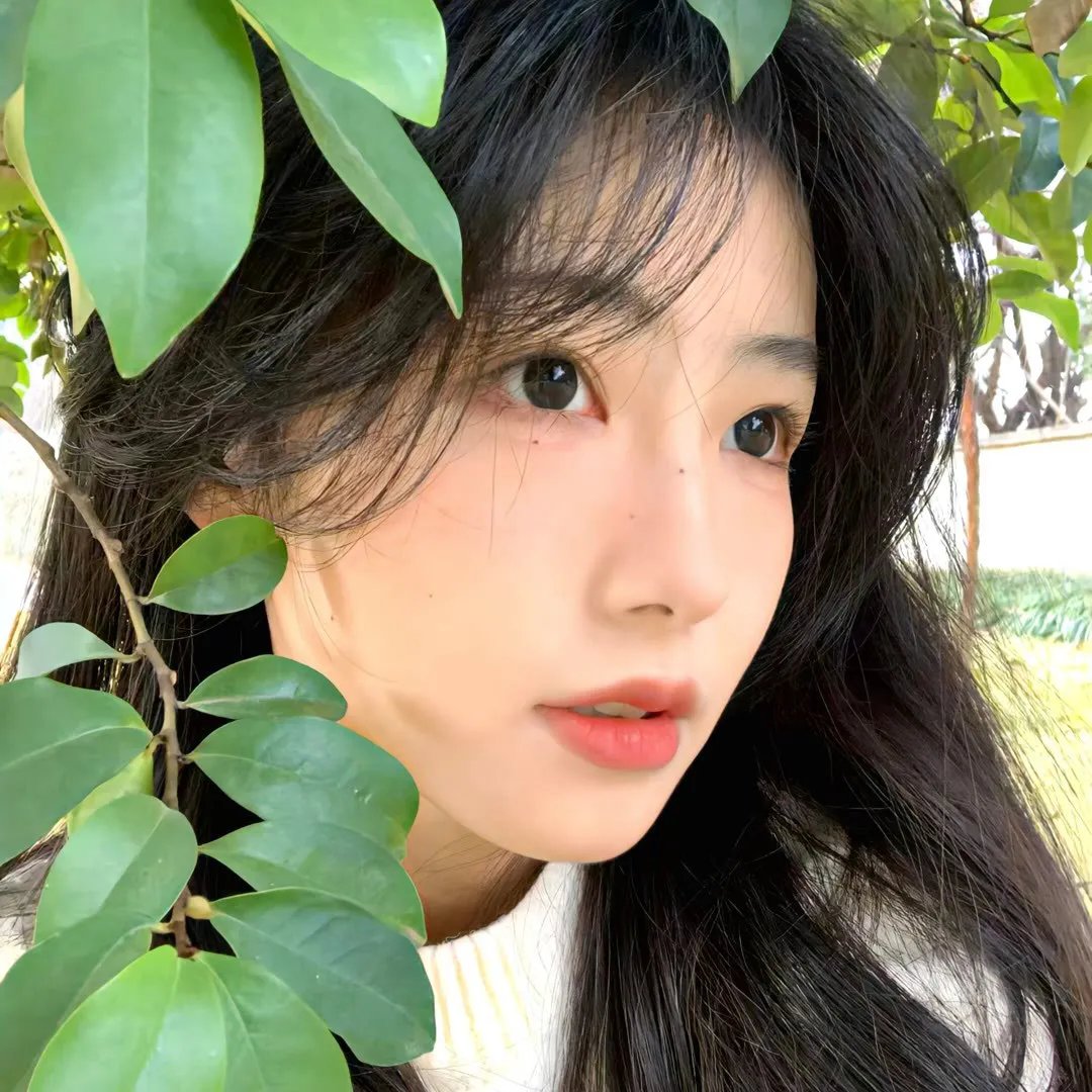 疫年之初
