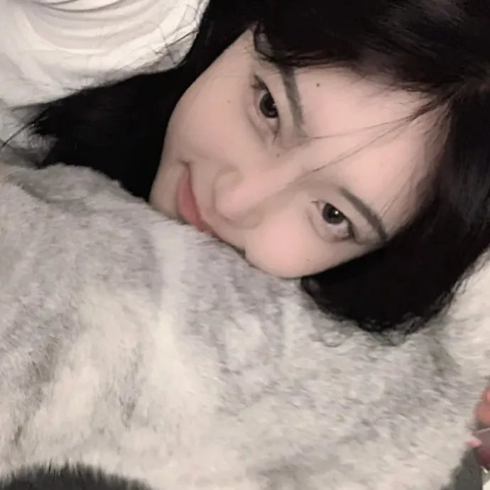 彩虹庇护所